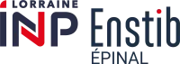 ENSTIB